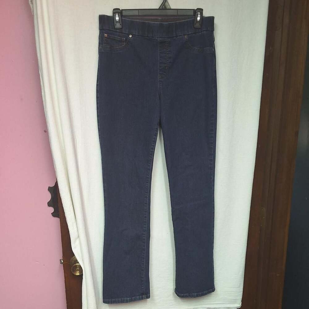 Kim Rogers Pull-On Jeans Size 8 Average Blue Denim